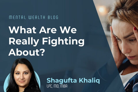 What Are We Really Fighting About?